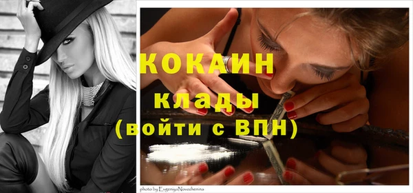 шишки Балахна