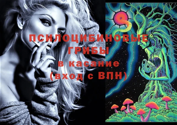 бошки Бронницы