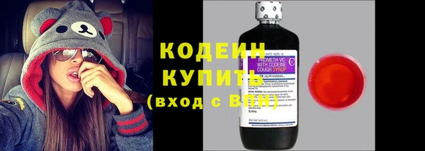 хмурый Бородино