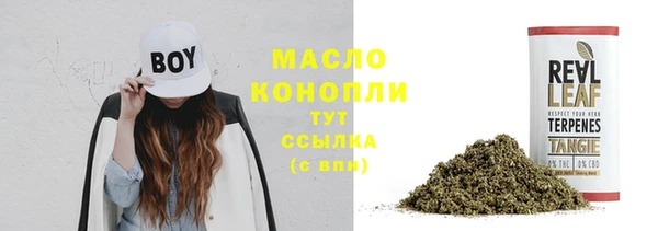 хмурый Бородино