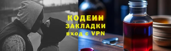 хмурый Бородино