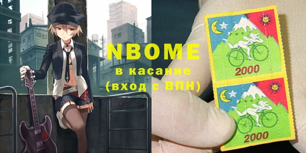хмурый Бородино
