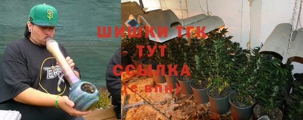 хмурый Бородино
