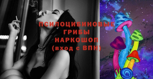 гидропоника Бугульма