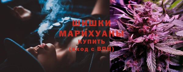 гидропоника Бугульма