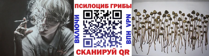 darknet состав где найти Спасск-Дальний Псилоцибиновые грибы Psilocybe